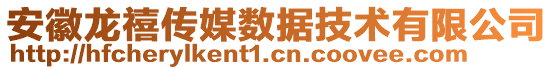 安徽龍禧傳媒數(shù)據(jù)技術(shù)有限公司