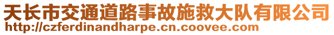 天長市交通道路事故施救大隊(duì)有限公司