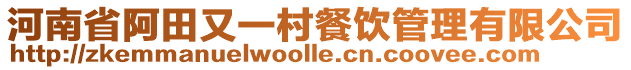 河南省阿田又一村餐飲管理有限公司