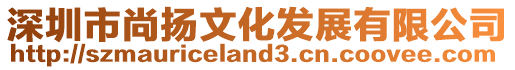 深圳市尚揚文化發展有限公司