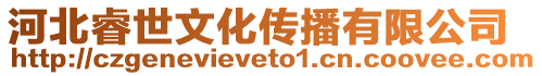 河北睿世文化傳播有限公司