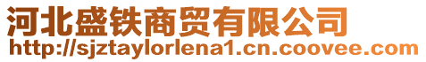 河北盛鐵商貿(mào)有限公司