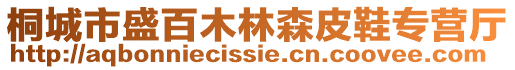 桐城市盛百木林森皮鞋專營(yíng)廳