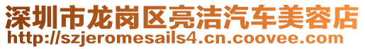 深圳市龍崗區亮潔汽車美容店