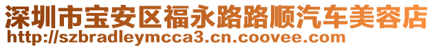 深圳市寶安區(qū)福永路路順汽車美容店