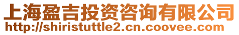 上海盈吉投資咨詢有限公司