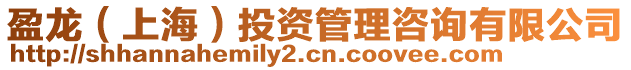 盈龍(上海)投資管理咨詢有限公司