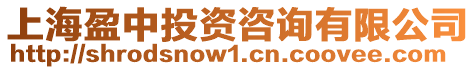 上海盈中投資咨詢有限公司