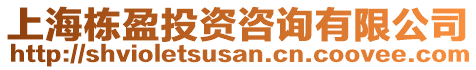 上海棟盈投資咨詢有限公司