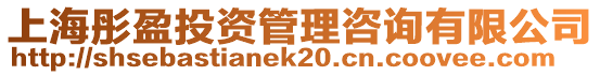 上海彤盈投資管理咨詢有限公司