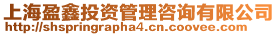 上海盈鑫投資管理咨詢有限公司