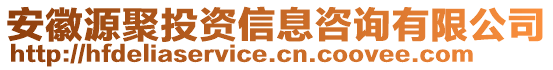 安徽源聚投資信息咨詢有限公司