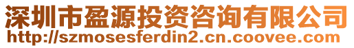 深圳市盈源投資咨詢有限公司