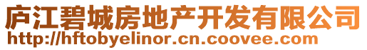 廬江碧城房地產(chǎn)開發(fā)有限公司