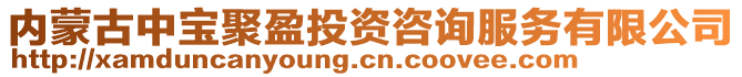 內蒙古中寶聚盈投資咨詢服務有限公司