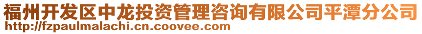 福州開發區中龍投資管理咨詢有限公司平潭分公司