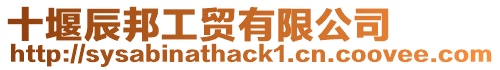 十堰辰邦工貿有限公司