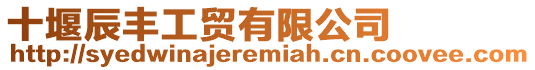 十堰辰豐工貿有限公司