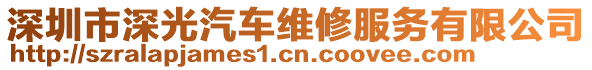 深圳市深光汽車維修服務有限公司