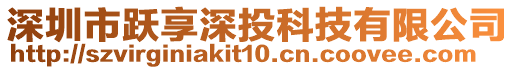 深圳市躍享深投科技有限公司