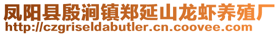 鳳陽縣殷澗鎮鄭延山龍蝦養殖廠
