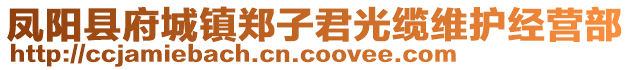 鳳陽縣府城鎮鄭子君光纜維護經營部