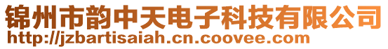 錦州市韻中天電子科技有限公司