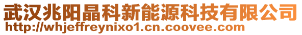 武漢兆陽晶科新能源科技有限公司