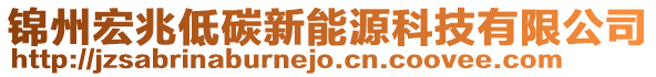 錦州宏兆低碳新能源科技有限公司