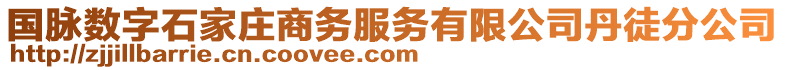 國脈數字石家莊商務服務有限公司丹徒分公司