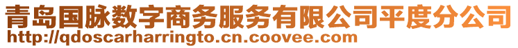 青島國脈數字商務服務有限公司平度分公司