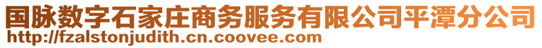 國脈數(shù)字石家莊商務服務有限公司平潭分公司