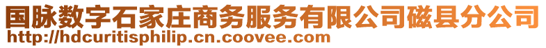 国脉数字石家庄商务服务有限公司磁县分公司