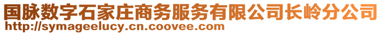 國脈數(shù)字石家莊商務(wù)服務(wù)有限公司長嶺分公司