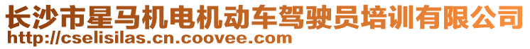 長(zhǎng)沙市星馬機(jī)電機(jī)動(dòng)車駕駛員培訓(xùn)有限公司