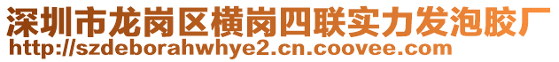 深圳市龙岗区横岗四联实力发泡胶厂