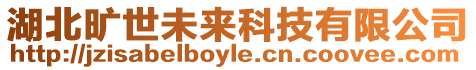 湖北曠世未來科技有限公司