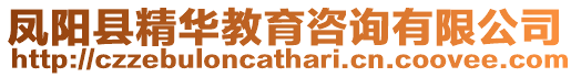 鳳陽縣精華教育咨詢有限公司