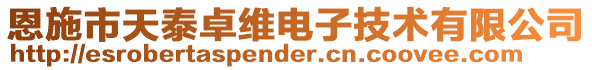 恩施市天泰卓維電子技術(shù)有限公司