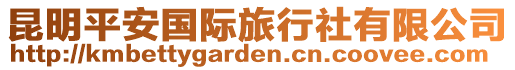 昆明平安國際旅行社有限公司