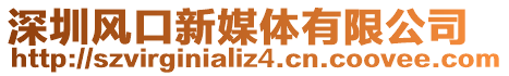 深圳風口新媒體有限公司