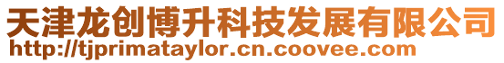 天津龍創博升科技發展有限公司
