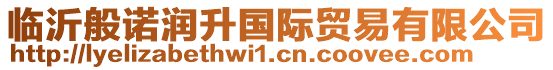 臨沂般諾潤升國際貿易有限公司