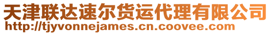 天津聯(lián)達(dá)速爾貨運代理有限公司