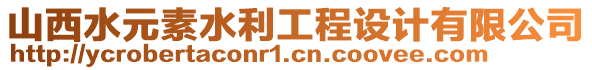 山西水元素水利工程設(shè)計(jì)有限公司