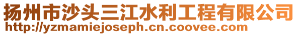 揚州市沙頭三江水利工程有限公司