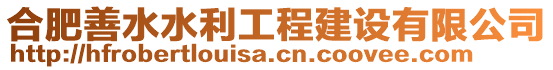 合肥善水水利工程建設(shè)有限公司