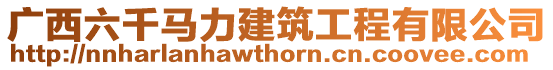 廣西六千馬力建筑工程有限公司