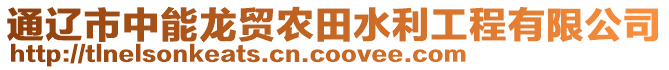 通遼市中能龍貿(mào)農(nóng)田水利工程有限公司