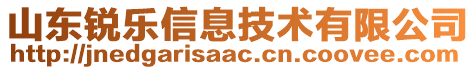 山東銳樂信息技術(shù)有限公司